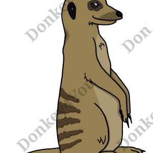 Erdmännchen Zeichnung / Illustration / Umrisszeichnung / Malvorlage