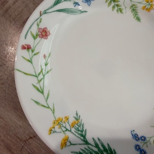 May include: A white ceramic plate featuring a delicate botanical pattern along the rim. The design includes small, colorful illustrations of blue, yellow, and pink wildflowers with green stems and leaves arranged in a circular, wreath-like motif.
