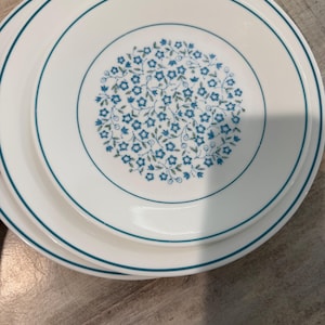 May include: Two round white dinner plates featuring a central circular pattern of small blue flowers and green leaves. Each plate is accented with a thin teal blue band along the outer rim, creating a clean and simple design for table settings.
