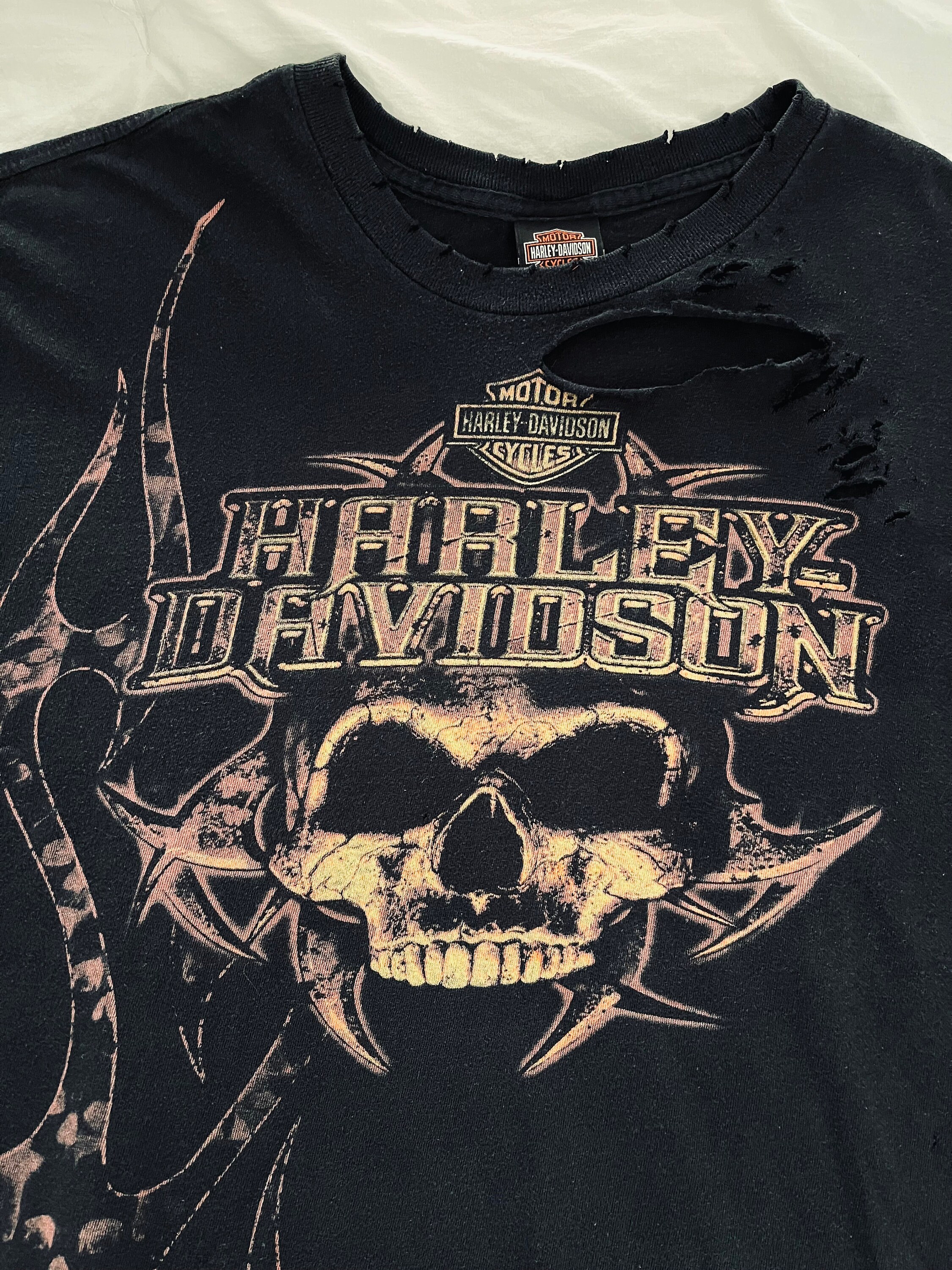 Vintage Harley Davidson Tombstone, Arizona Skull Limited Edition