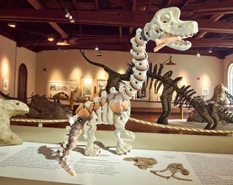 Brachiosaurus Skeleton with Stick Toy - 3D Printed Dinosaur Figure – Articulated Prehistoric Collectible (8.5")