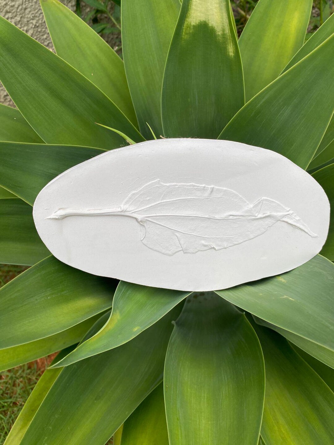 Botanical Cast, Botanical Bas-relief, Art, Botanical Art, Flor, Flower ...