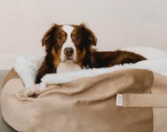 Pet Basket Bed - Scoop