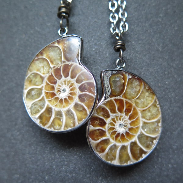 Your choice of ammonite necklace. fossil pendant on a stainless steel chain. wire wrapped bronze niobium necklace. Canadian seller.