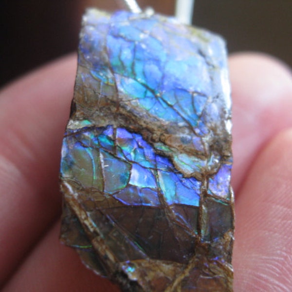 SAMPLE SALE ammolite necklace in peacock colours and sterling silver. 50 percent off. splurge.