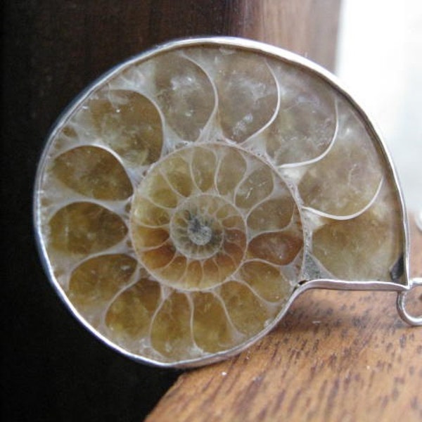 toffee ammonite sterling silver necklace