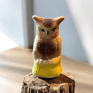 Vintage Ceramic Owl Money Coin Bank