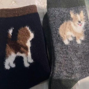Pu&ograve; includere: Due paia di calzini con disegni di cani. Un calzino &egrave; blu navy con un cane marrone, bianco e beige. L'altro calzino &egrave; grigio con un cane beige e bianco. Entrambi i calzini hanno polsini marroni.