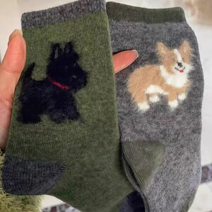 Pu&ograve; includere: Un paio di calzini, uno verde e uno grigio, ciascuno con un disegno di cane. Il calzino verde ha un Scottish Terrier nero con un collare rosso. Il calzino grigio ha un Corgi marrone e bianco. Entrambi i calzini hanno polsini e talloni grigio scuro.