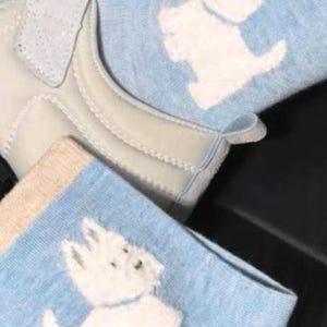 Pu&ograve; includere: Calzini azzurri con un disegno di cane terrier bianco. I calzini hanno un polsino beige e sono abbinati a una scarpa bianca con chiusura in velcro. I calzini sono realizzati in materiale morbido.