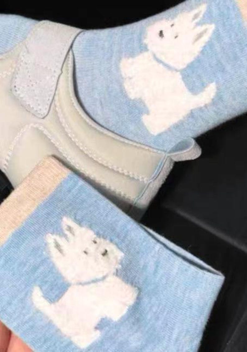 Pu&ograve; includere: Calzini azzurri con un disegno di cane terrier bianco. I calzini hanno un polsino beige e sono abbinati a una scarpa bianca con chiusura in velcro. I calzini sono realizzati in materiale morbido.
