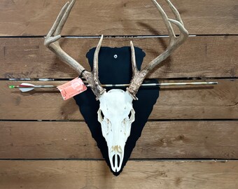 Arrowhead Outline Mounting Bracket
