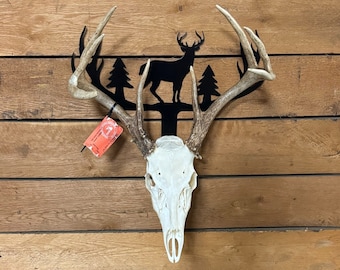 Antlers with Deer and Trees Mounting Bracket