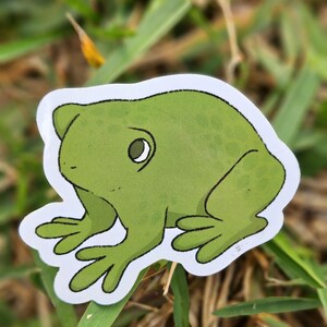 Frog sticker