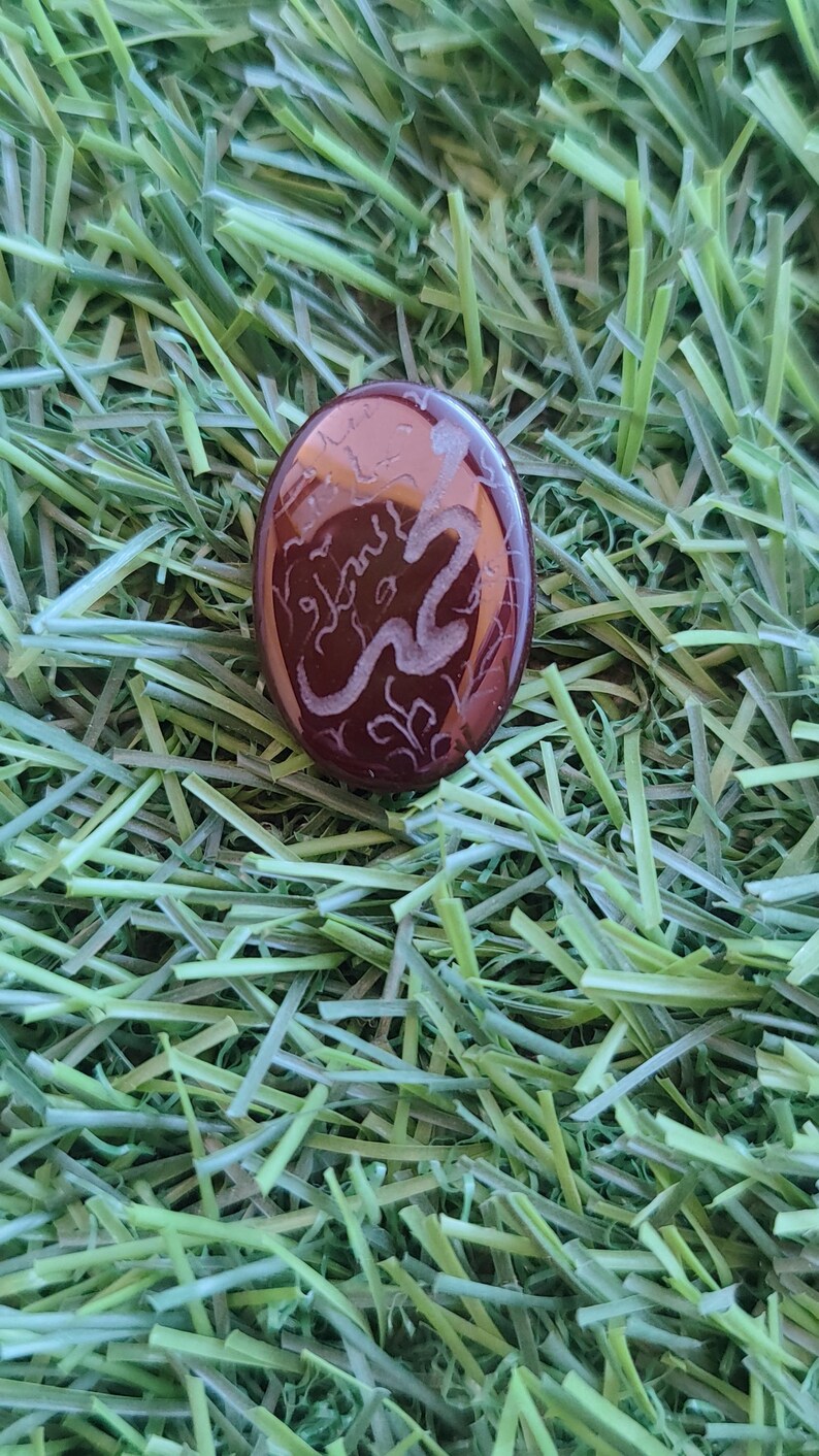 May include: A brown, oval-shaped stone with a white, etched design of a snake. The stone is set against a background of green grass.