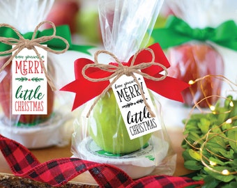 PRINTABLE Holiday Gift Tags Christmas Tags Holiday Party Favors Teacher Caramel Apple Gift Friend Gift Tag Caramel Apple Dip Tag Holiday Tag