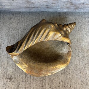 May include: A solid brass decorative object shaped like a conch shell. The item features a metallic gold finish with a textured, ribbed exterior surface and a smooth, wide opening. The shell has a pointed, spiraled tip and a heavy, cast metal appearance.