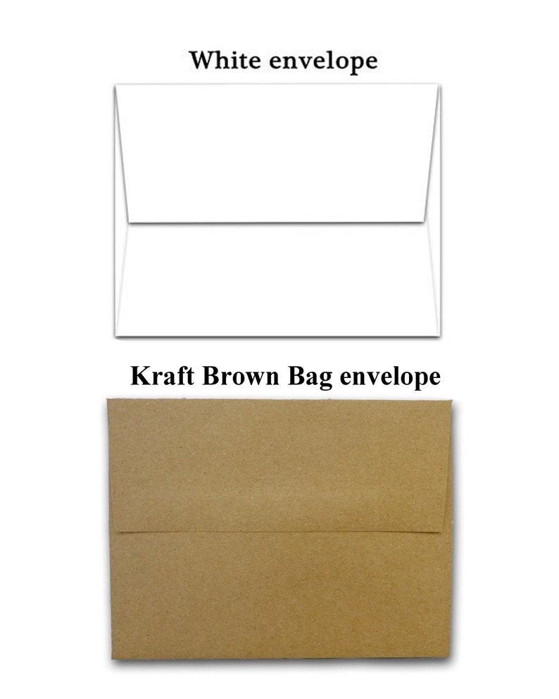 May include: Two envelopes, one white and one brown. The white envelope is a standard size envelope. The brown envelope is a kraft paper envelope.