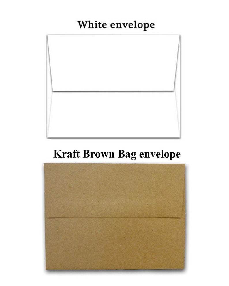 May include: Two envelopes, one white and one brown. The white envelope is a standard size and the brown envelope is a kraft paper envelope.