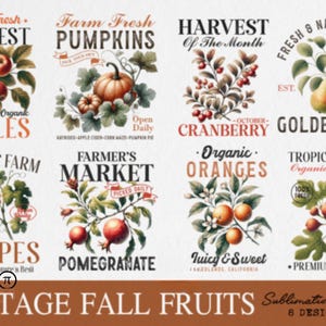Vintage Fall Fruit PNG Bundle: Hand-Drawn Autumn Designs (Digital Download