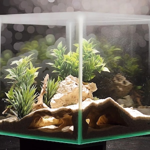 May include: A clear, cube-shaped aquarium with a sand substrate, rocks, and artificial plants. The tank is filled with greenery and has a naturalistic design. The glass is thick and the edges are outlined in green.
