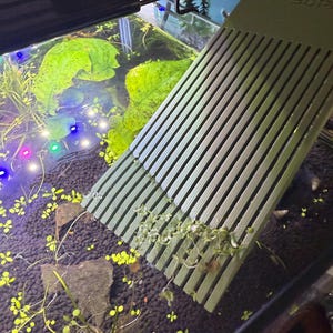 May include: A green aquarium scraper with the text "AQUA 3DP" is used to clean an aquarium. The scraper is removing small plants from the glass. The aquarium contains green plants, small yellow plants, and black gravel.