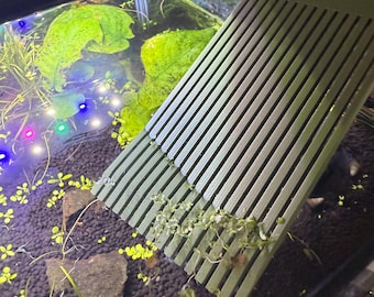May include: A green aquarium scraper with the text "AQUA 3DP" is used to clean an aquarium. The scraper is removing small plants from the glass. The aquarium contains green plants, small yellow plants, and black gravel.