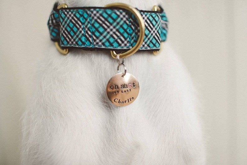 Though She Be But Little, She Is Fierce Custom Pet ID Tag image 10