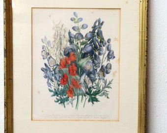 antique french colored print flowers D 981