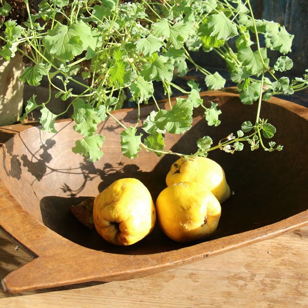 C 596: antique handcarved WOODEN DOUGH BOWL cottonwood