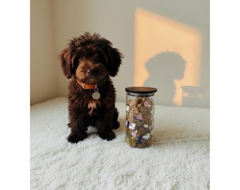 Barattolo personalizzato per biscotti per cani, con decorazione floreale dipinta a mano, nome personalizzato in vinile, contenitore ermetico per animali domestici.