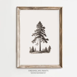 Black And White Tree Sketch of Pine Tree Drawing of Monochrome Tree Pencil Drawing of Tree Silhouette Print of Lone Tree Sketch Wall Art