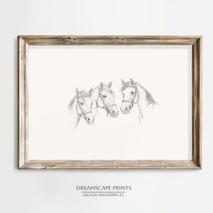 Horses Black And White  Pencil Sketch of Horse Drawing Animal Illustration of Elegant Horse Trio Minimalist Black And White Line Drawing