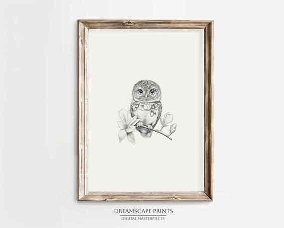 フクロウの鉛筆スケッチ、白黒の描画、ミニマリストの壁アート