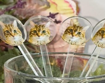 Personalized Pet Portrait Drink Stirrers, Custom Cat/Dog Acrylic Swizzle Sticks