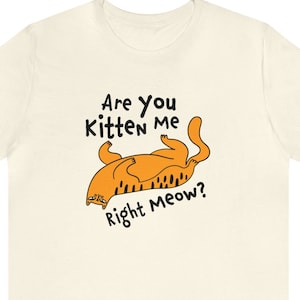 Are you Kitten Me Right Meow t-shirt, Cat shirt, Cat lover Shirt, Cat lover gifts, right Meow, Orange cat gifts, positive sayings gifts
