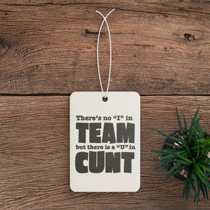 Sarcastic Car Air Freshener, Offensive Adult Humor Gift, Funny Automotive Accessory, Humorous Scented Car Ornament, Unique UNT Design,