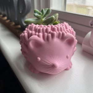 Hedgehog Succulent Planter Cute Animal Pot | Kawaii Desk Decor Boho Minimalist Shelf Accent Coastal Gift Idea