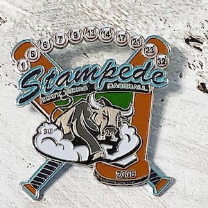 Baseball Pin, Enameled, Hat Pin, Lapel Pin, USSSA Baseball, Sports Craft Supply, Stampede Team, TX