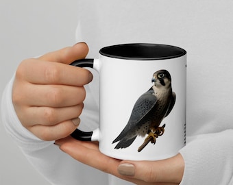 320ml Mug with Colour Inside Birds of Europe 11 Peregrine Falcon