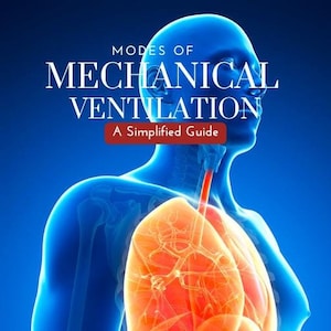 Könnte beinhalten: Eine blaue anatomische Illustration eines menschlichen Torsos mit einer hervorgehobenen roten Lunge. Der Text "MODES OF MECHANICAL VENTILATION" und "A Simplified Guide" wird über dem Bild angezeigt.