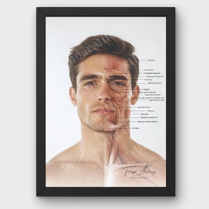 Facial Anatomy Male Muscles of the Face Poster | Medical Spa Decor | Cosmetic Injector Printable | Aesthetic Practitioner