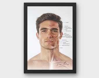 Pôster de Anatomia Facial - Músculos Masculinos do Rosto | Decoração de Spa Médico | Injetor Cosmético para Impressão | Esteticista