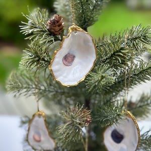 Oyster Shell Wedding Favor Christmas Ornament