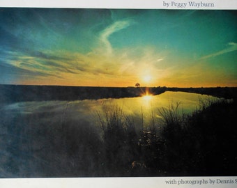 70s Edge of Life The World Of The Estuary Peggy Wayburn photography Dennis Stock Sierra Club illustrated nature environmental science book