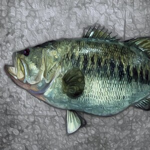 LARGEMOUTH BASS Fine Art Canvas Giclee Fish Print - Freshwater Fish Gift For Men Women, Cottage Man Cave Home Decor Wall Art Sign