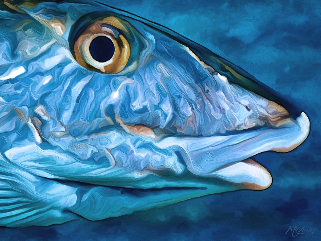 BONEFISH Fine Art Canvas Giclee Print - Florida Everglades Fish Gift ...