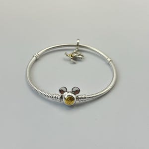 Pandora S925 ALE Anniversary Charm and Bracelet Set