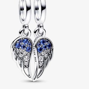 May include: A pair of silver-colored dangle earrings, each shaped like a wing. The wings are adorned with blue and clear gemstones. The earrings have a loop at the top for hanging.