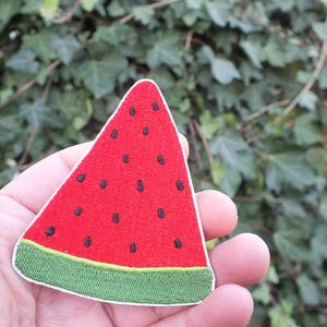 May include: An embroidered patch of a watermelon slice. The patch features a red body with black seeds and a green rind, all outlined with a white border. The patch is held in a hand against a blurred green backdrop.